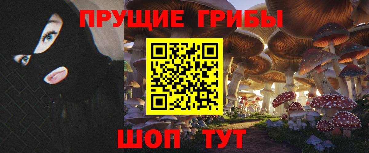 Галлюциногенные грибы мухоморы Москва