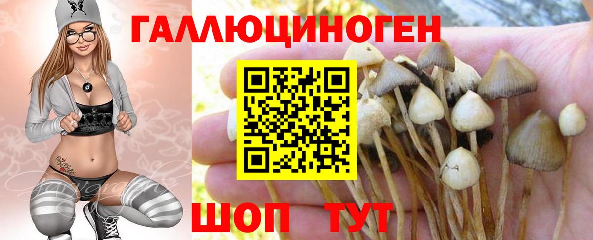 Москва  Галлюциногенные грибы MAGIC MUSHROOMS  Вход с VPN  Псилоцибиновые грибы мицелий 